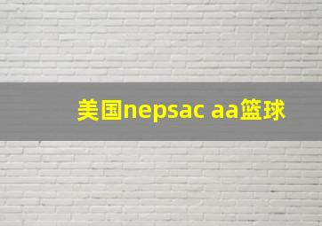 美国nepsac aa篮球